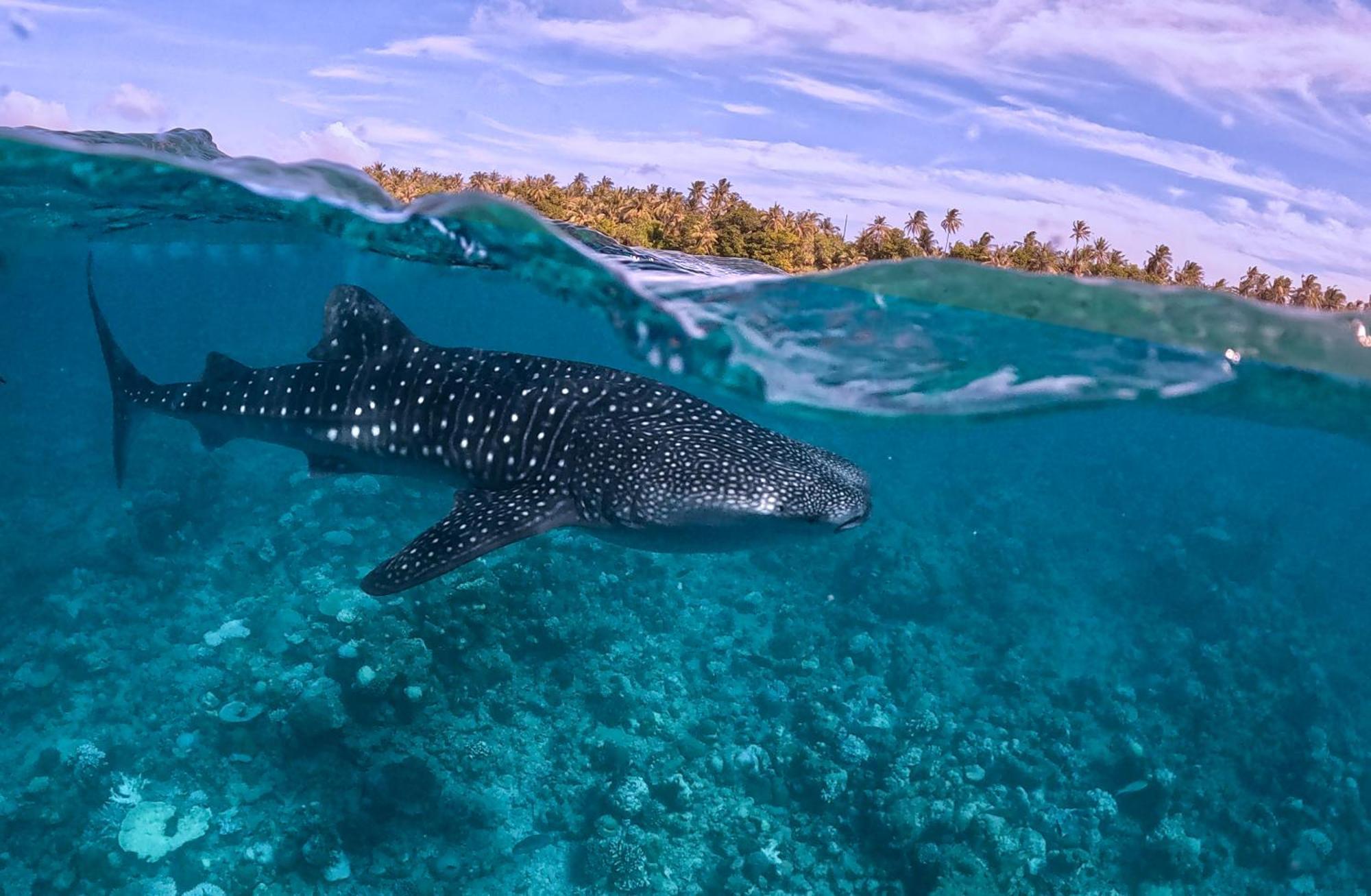 Sands Grand Dhigurah  Zewnętrze zdjęcie