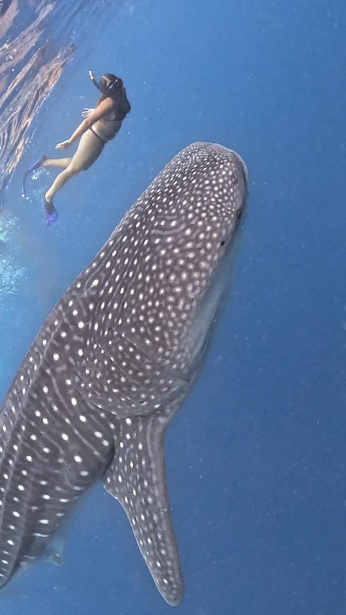 Sands Grand Dhigurah  Zewnętrze zdjęcie